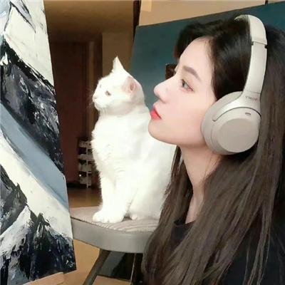 圣母在上